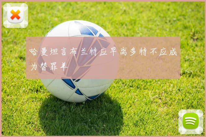 哈曼坦言布兰特应早离多特不应成为替罪羊